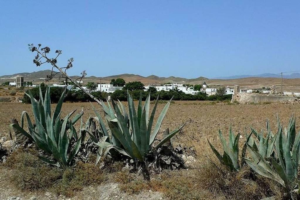 Cortijo Los Garridos - 8 Huespedes Fernan Perez Exterior photo